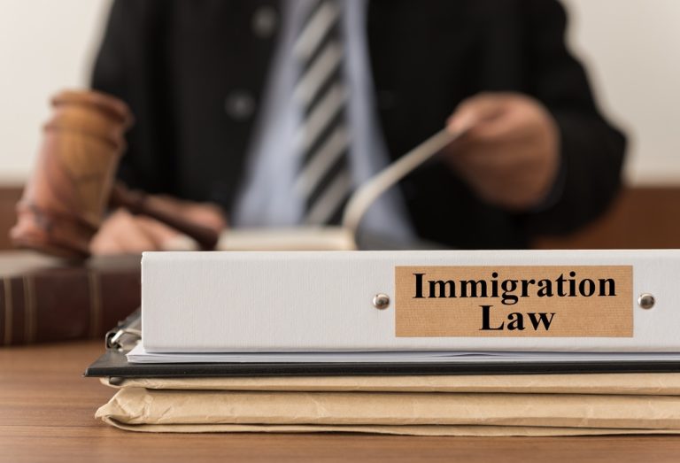 Immigration Law Folder