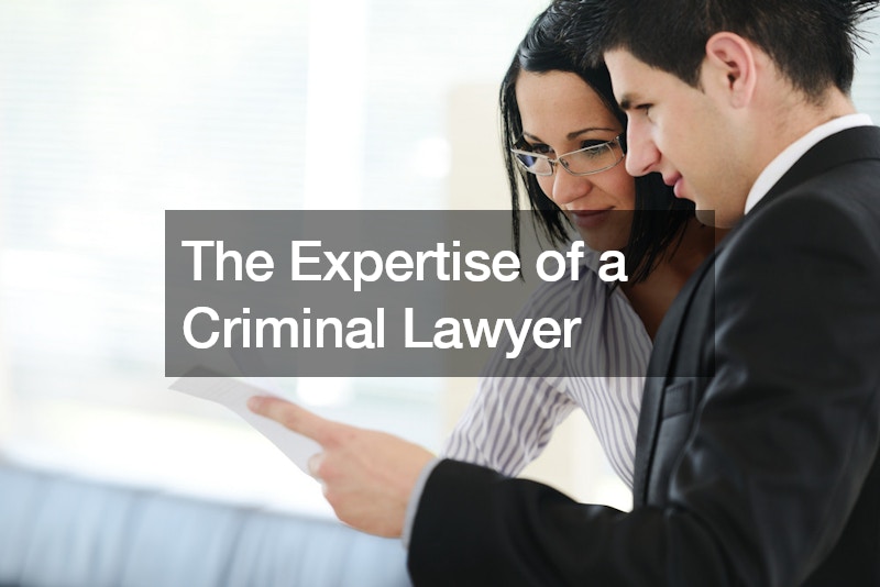 What to Expect When You Hire a Criminal Defense Lawyer